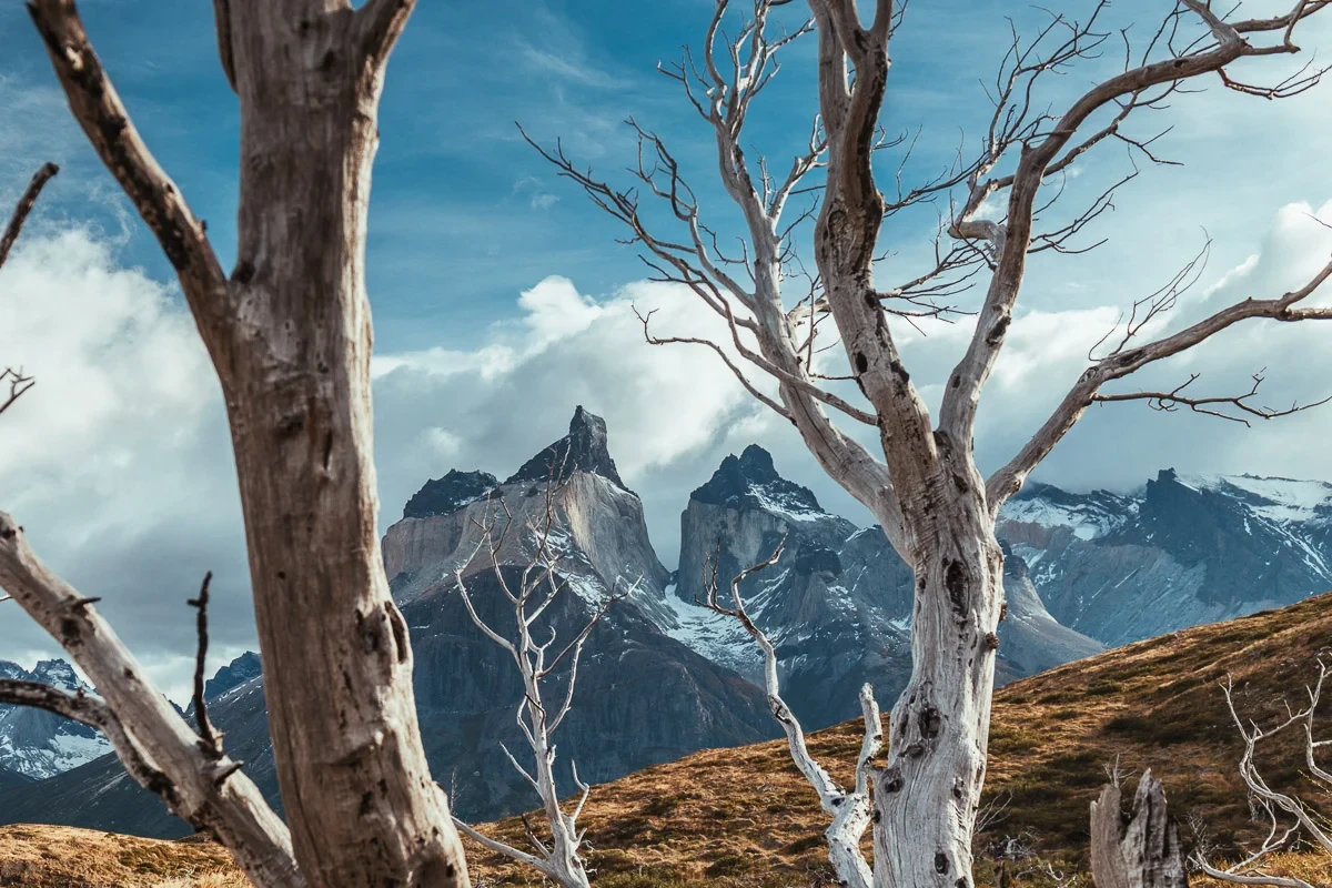 Circuito O Torres del Paine: Guía Completa | Kali Travels